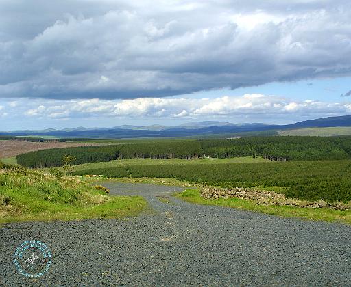 Scottish Borders 8T73D-19.JPG